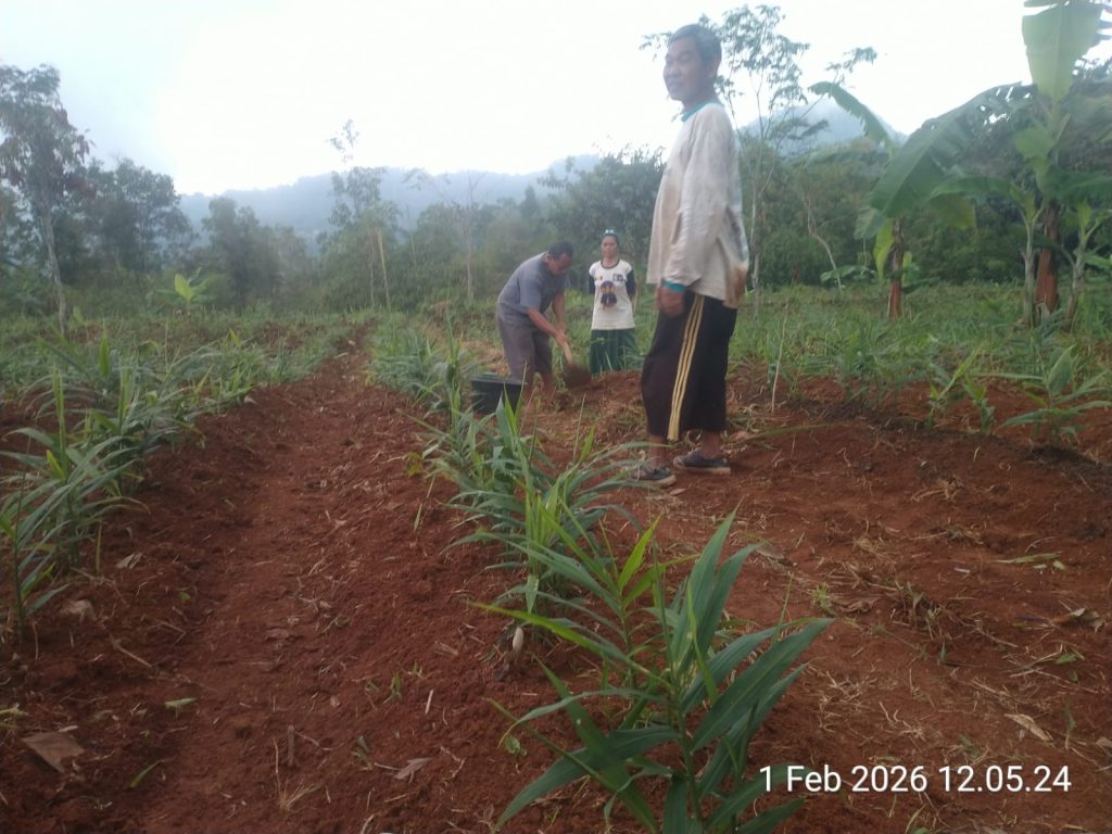 img 20260201 wa0001